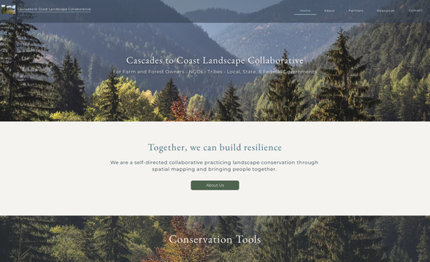 CCLC: Website Redesign & Branding for Org