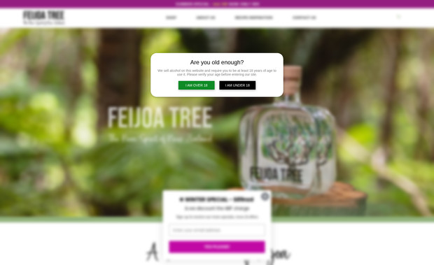 Feijoa Tree - Custom shipping logic solution: Developed a custom shipping logic solution for Feijoa Tree’s Wix Store, enabling international customers to automatically receive free shipping without the need for discount codes. The integration created a seamless shopping experience by detecting location and applying the appropriate shipping rule behind the scenes — increasing conversions and simplifying the checkout process.

Project Breakdown:
1. Custom Shipping Logic
- Implemented conditional shipping rules to apply free shipping for users outside of New Zealand
- Automated the logic entirely so no manual action or coupon input was required

2. Wix Stores Optimization
- Integrated the logic within the Wix Stores checkout flow to ensure smooth application of rules
- Preserved existing domestic shipping structure while layering on international conditions

3. Enhanced Customer Experience
- Improved the shopping flow for international buyers by reducing friction during checkout
- Ensured clear communication and transparency around shipping charges


