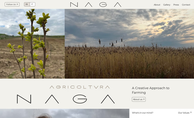 Agricoltura Naga: Web Site Project - Logo Design - SEO