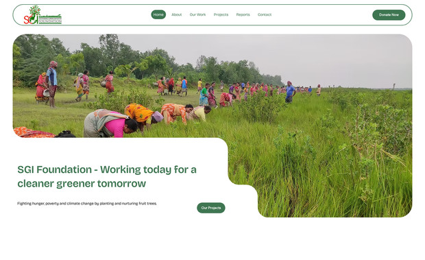 SGI Foundation: undefined