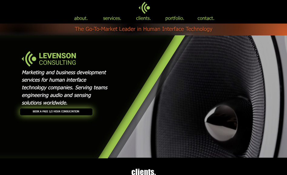 Levenson Consulting: 