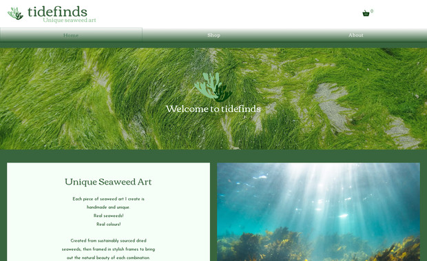 Tide Finds Seaweed Art: Complete redesign of Wix website with basic SEO setup and logo design
