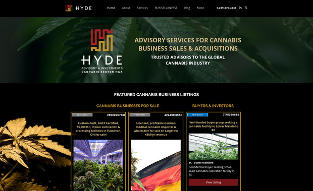 David Hyde Advisory: Built custom listings with filters connected to the Wix content manager for easy admin maintenance.