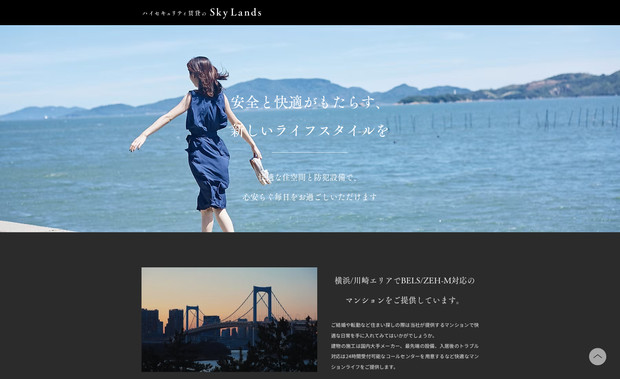 Sky Lands LLC: undefined