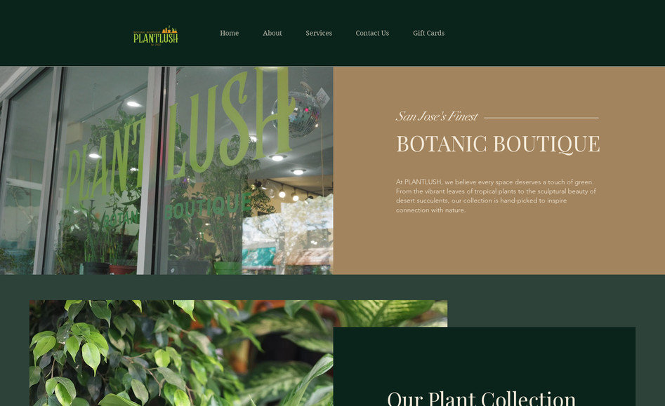 PLANTLUSH: Tienda especializada en Plantas de interior en San Jose, CA. 
