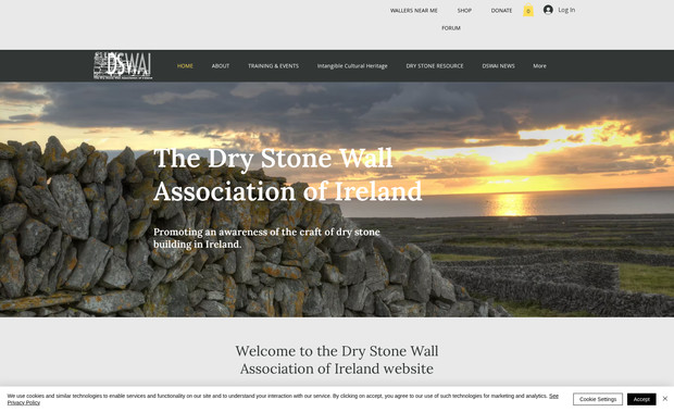 dswai: Website design