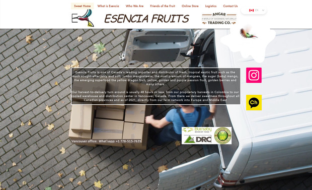 Esencia. by Angar: Website design, content development.