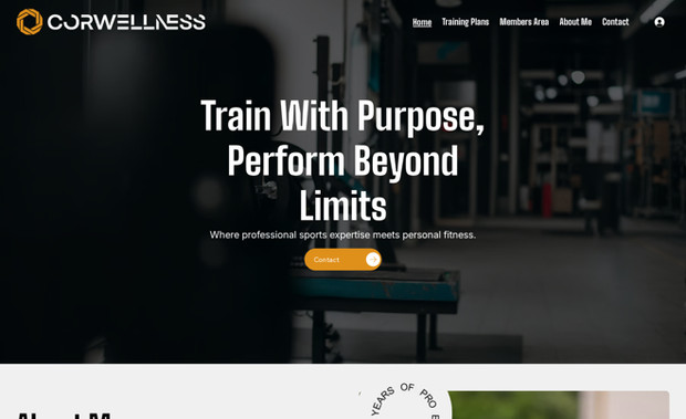 Training: Subscription-based training website.