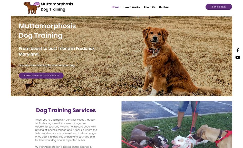 Muttamorphosis  Dog Training: 