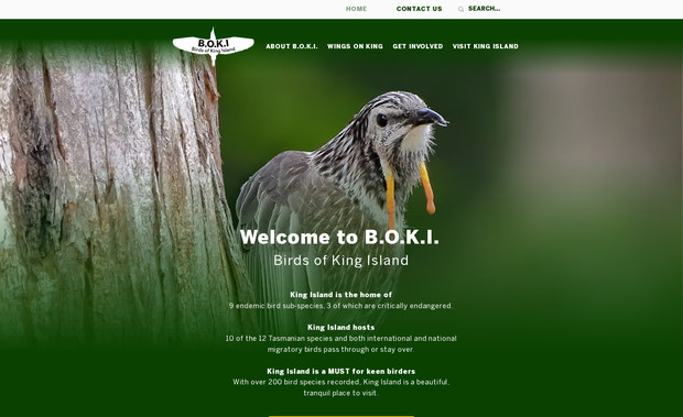 boki: Website redesign