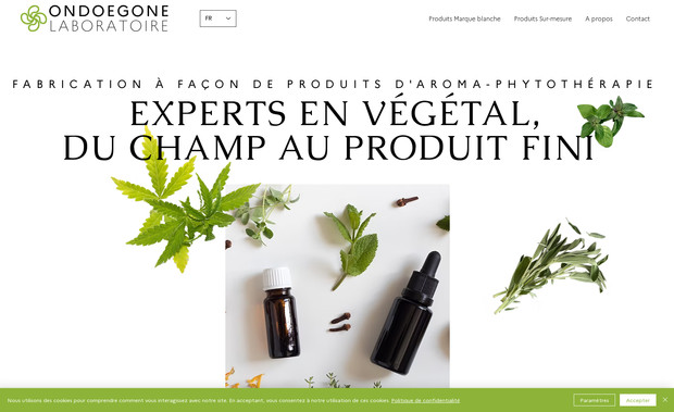 Ondoegone Laboratoire: Création identité visuelle, logo et site web, ligne éditoriale et rédaction, iconographie, référencement SEO.