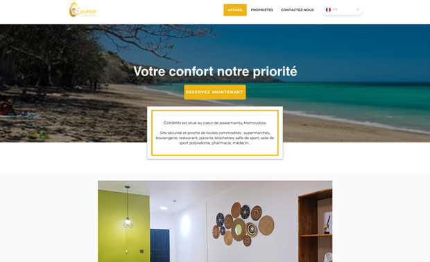 ojasmin: Website SEO task consultation 