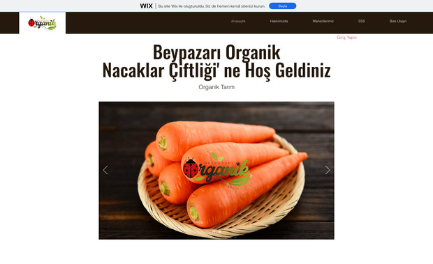 Beypazariorganik: Kurumsal site