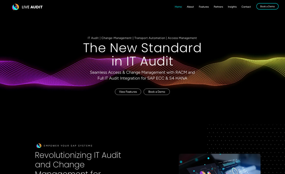 Live Audit: Website Design