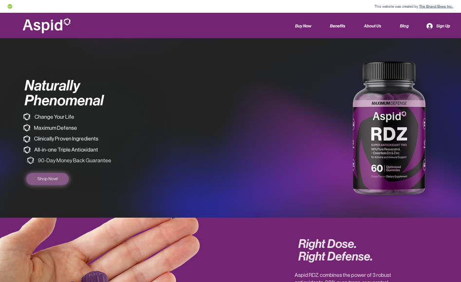 Aspid RDZ: Brand Development, SEO Keyword Strategy, Copywriting, Photography and Mockups, Website Design and Development