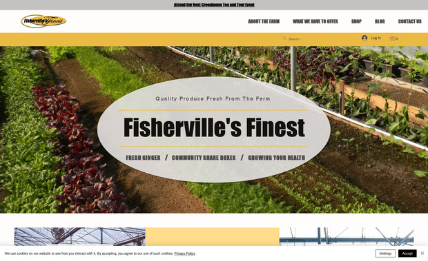 Fisherville: Advanced Website