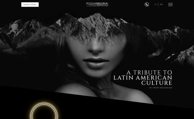 Rosa Negra: Migración de Editor X a Wix Studio, actualización de Look and Feel e Información.