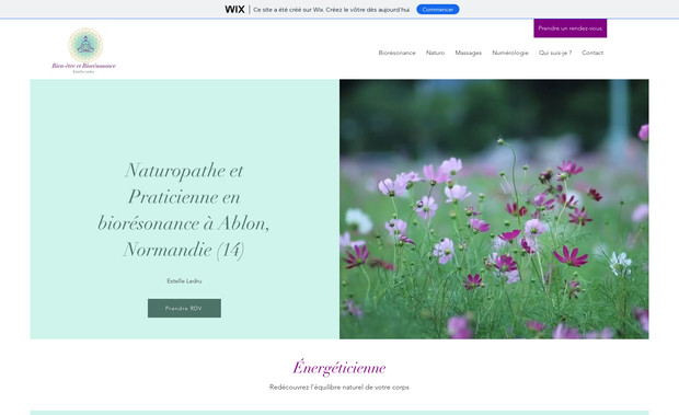 Bien-être et Biorésonance: Site vitrine d'Estelle Ledru, naturopathe spécialisée en bien-etre et biorésonance. 