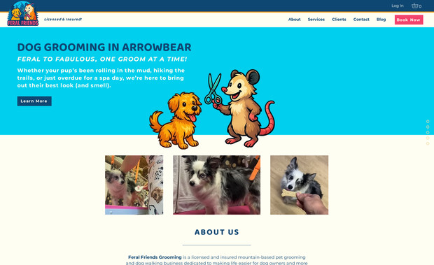 Feral Friends Dog Grooming: Website in a day build and marketing strategy for local dog grooming business.