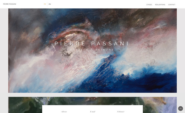 Pierre Passani: Toute la conception du site : l'arborescence, le design, l'optimisation du contenu, la création de la base de référencement, ainsi que la formation de l'artiste à l'utilisation de la plateforme WIX.