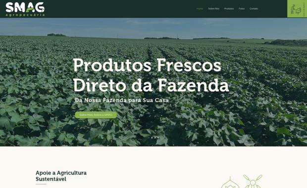 SMAG: Website Development 