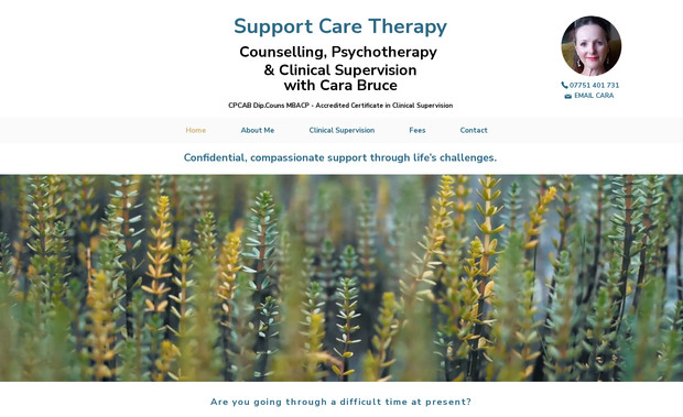 Support Care Therapy: undefined