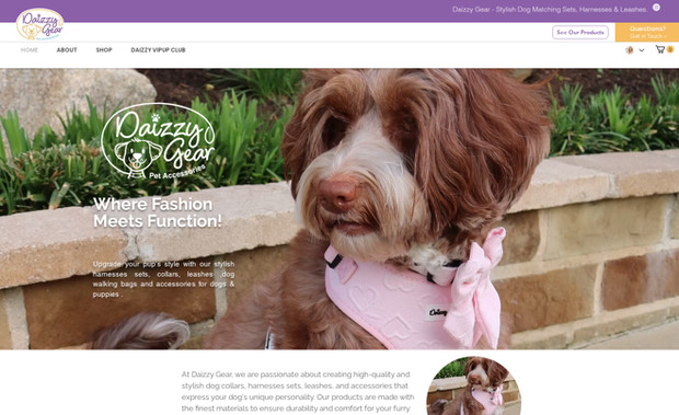 Daizzy Gear: Daizzy Gear in Miama, FL provides adorable leashes and harnesses for small and medium sized dogs. We created a beautiful custom logo and eCommerce website for their business. The site includes advanced SEO including a local landing page for increased Google traffic by Miami residents, full eCommerce system install, setup of all products, custom form, and social media feed. We also designed an email marketing template for them to use to keep their customers informed of new products and sales promotions.