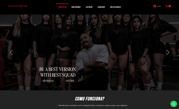 Luiz Salles: Site Completo com Área do Assinante avançada via API