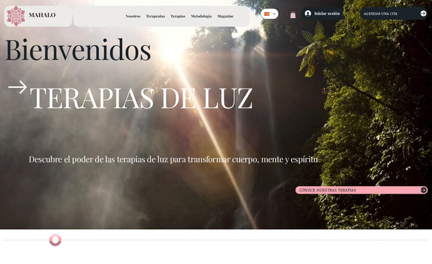 Mahalo: Contexto inicial

Mahalo Terapias de Luz buscaba consolidar su presencia digital con un sitio web profesional que reflejara confianza y calidez, facilitara la reserva de terapias online y presenciales, y ofreciera una experiencia clara para sus clientes. Antes de trabajar con nuestra agencia, el proyecto carecía de un sistema de gestión integral de citas y pagos, lo que limitaba el crecimiento y la conversión de clientes.

Retos principales

Integrar un sistema de agendamiento online simple y automatizado.

Configurar métodos de pago accesibles para clientes locales e internacionales.

Diferenciar y organizar la oferta de servicios (online vs. presencial).

Generar una experiencia de usuario intuitiva y alineada con la filosofía terapéutica de la marca.

Acciones implementadas por la agencia

✔️ Migramos y diseñamos el sitio web en Wix Studio, optimizando la estructura visual y de navegación.
✔️ Configuramos Wix Bookings vinculando perfiles de terapeutas con su disponibilidad.
✔️ Habilitamos métodos de pago online (PayPal, offline y con proyección a Wix Payments).
✔️ Creamos flujos de confirmaciones automáticas y recordatorios para pacientes.
✔️ Implementamos el CRM de Wix para la gestión de clientes, paquetes de servicios y encuestas de satisfacción.
✔️ Diseñamos un plan de contenidos estratégicos (Mahalo Experience) como producto diferenciador para generar leads.

Resultados obtenidos

📈 Automatización total del proceso de reserva, reduciendo el tiempo de gestión manual en un 80%.
💳 Pagos integrados que permiten a clientes reservar con confianza desde cualquier lugar.
🧭 Mejor experiencia de usuario: navegación clara y servicios segmentados (online/presencial).
📊 Base de datos organizada en CRM, con segmentación de clientes para futuras campañas.
🚀 Nuevo producto digital (Mahalo Experience) que abre un canal adicional de ingresos y fidelización.

Conclusión

El proyecto Mahalo Terapias de Luz se transformó en una plataforma digital sólida, escalable y alineada con su propósito. Hoy cuenta con un ecosistema digital que no solo atrae clientes, sino que también gestiona su relación de manera eficiente y profesional.