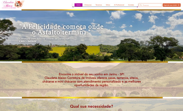 Claudete Aleixo: Desenvolvimento de Website