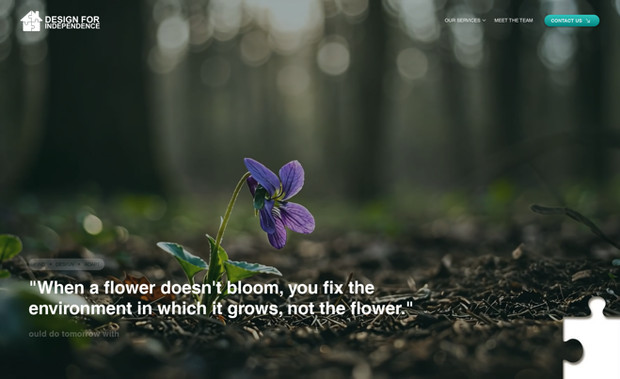 Design For Independence: Our client had a very clear brief for the design, including providing the illustrations for the services they provide. Our challenge was to make these a feature of the design. They were very pleased with the result.