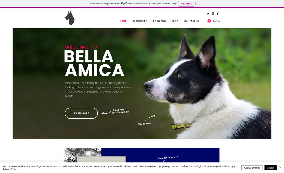 Bella Amica: Having a well established existing presence already within the dog training sector we were tasked with creating a clearer and more concise messaging system. We also re-designed the entire site creating a more consistent visual language through the use of colour, typography and imagery.