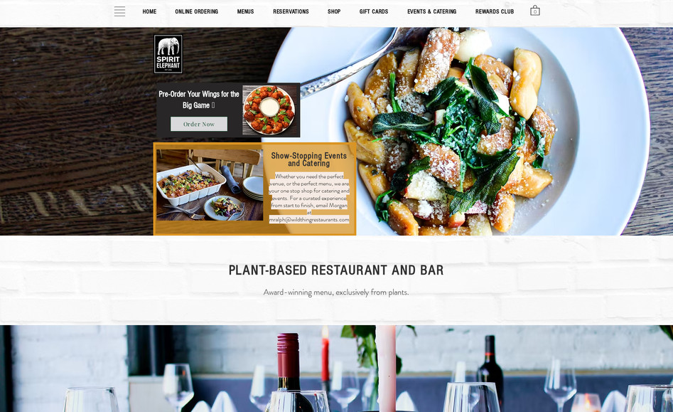 Spirit Elephant: undefined