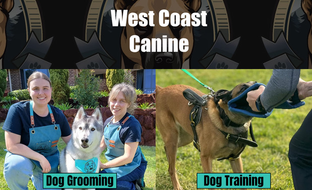 West Coast Canine: Custom Booking System Development

I created a custom booking system for a client using Wix Velo. The client needed a simple and secure way for customers to book sessions, so I built a system that only allows registered and logged-in users to continue.

Before booking, users must fill out a detailed form with all the required information. The system checks this automatically. If the form is not completed, it appears first, and the user must agree to the terms and conditions before moving ahead. Once the form is done, the booking pages open normally.

This setup helps the client keep everything organized and makes the booking process straightforward for their customers.
