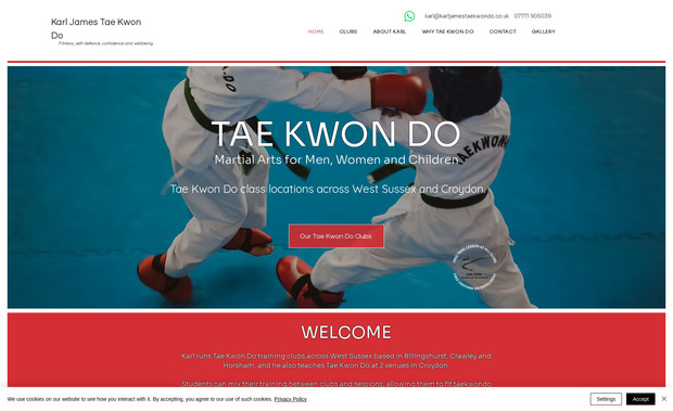 Karl James Taekwondo: Design and build of website including migration from external host in to Wix.