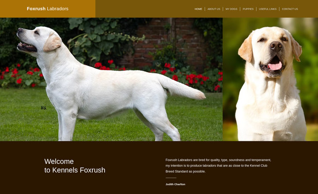 Foxrush Labradors: Judith Charlton at Kennels Foxrush has been a client with us for a number of years. She started with a small profile website and now the latest design features sections on her awarding winning dogs in a simple to navigate website. The circular photography used on the My Dogs page is a great way to display the portrait of a labrador bred by Judith at Kennel Foxrush.